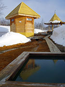 Лыжный поход Ключи-Петропавловск. Налычевская долина